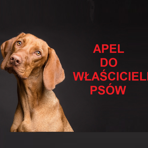 Apel do właścicieli psów