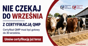 Baner informacyjny dotyczący certyfikacji QMP. Po lewej stronie znajduje się napis: „Nie czekaj do września z certyfikacją QMP. Certyfikat QMP musi być gotowy do 30 września. Umów certyfikację już teraz”. Po prawej stronie widoczne jest zdjęcie pięciu krów stojących przy paśniku na terenie gospodarstwa. W górnej części znajdują się logotypy programów „Wołowina z ras mlecznych QMP” oraz „Wołowina z ras mięsnych QMP”, a w prawym dolnym rogu oznaczenie „#FunduszePromocji”.